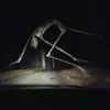 MILO HOUSE - @milohouse._ - TikTok