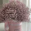 @tigress - @miloo_house._ - TikTok