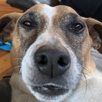 Milo Jenkins - Facebook