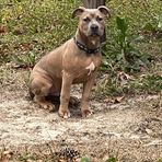 Milo Jenkins - Facebook