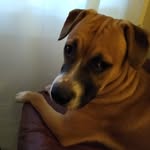 Milo Jones - @milojones28 - Instagram