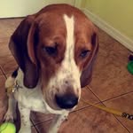 Milo Jones - @milojoneslupinacci - Instagram