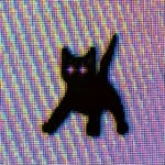 Milo - @milo__jones - Instagram