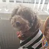 Milo - @milojones24 - TikTok