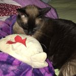 Milo Elliot Lewis - @milo_lewis_the_loaf_of_bread - Instagram