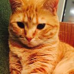 Milo Lewis - @milo_lew_o2 - Instagram