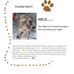 Milo Lewis - Facebook