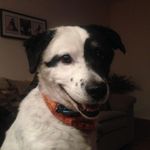 Milolewis - @milolewis - Instagram