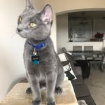 Milo & Mason - @miloandmasonn - Instagram