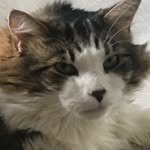 Milo Mason - @milomasonxo - Instagram