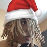 milo - @mil.omason - Instagram