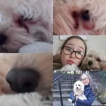 Milo Merritt - @mr_milo_merritt - Instagram
