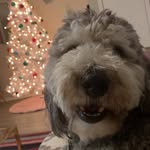 Milo Merritt - @milo4president24 - Instagram