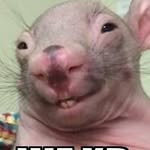 Milo Molina - @molina.milo - Instagram