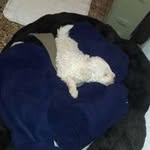 Milo Molina - @milomolina6089 - Instagram