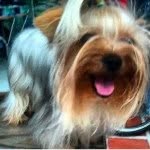 Milo Molina - @milo_molina5 - Instagram