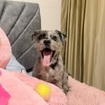 Milo Molina Marin - @milo020525 - Instagram