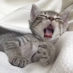 MILO & MORA - @milo__mora - Instagram