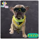 Milo Mora - @milomora02 - Instagram