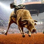 Milo Mora - Facebook