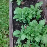 Milo Mora - @mora.milo - Instagram