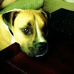 @milomora - Instagram