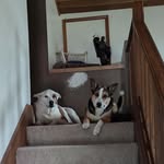 Milo Norton - @milo_norton5 - Instagram