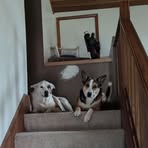 Milo Norton - Facebook