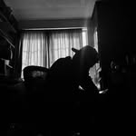 MILO.J.NORTON - @milo_norton686 - Instagram