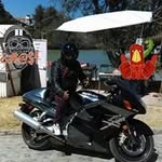 Milo Pacheco - @milo.pacheco - Instagram