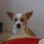 Milo Pacheco - @mil.o04 - Instagram