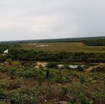 Milo Pacheco - Facebook