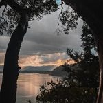 Milo Page - @milopage_ - Instagram