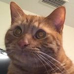 milo_page - @milos__page - Instagram