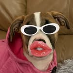 Milo - @milo_paul_ - Instagram