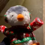 milo paul - @thepenguincalledmilo - Instagram