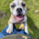 Milo Paul Penkert - @miloo491 - Instagram