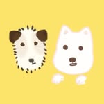 Paul+Milo - @paul__milo - Instagram