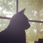 Milo allan pierce - @milo_houdini666 - Instagram