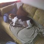 Milo Pierce - Facebook