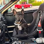 Milo Ryan - @the_adventuresof_milo - Instagram