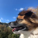 Milo Ryan - @kingmilo___ - Instagram