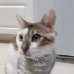 @lucian_and_milo_sampson - Instagram
