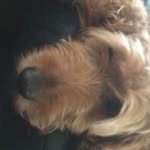 Milo Sampson - @milors33 - Instagram