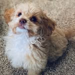Milo Schrader - @milo.schrader - Instagram