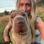 Milo and Grace - @milo_thesharpei - Instagram