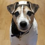 Milo Sharp - Facebook