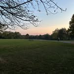 Milo Sharp - @milo_phoenix_sharp - Instagram