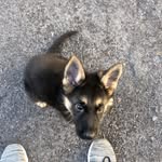 Milo “Sharp Tooth” Sanchez - @milosharptooth - Instagram