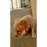 🔆Milo 🔆 - @milo_simon_ - Instagram
